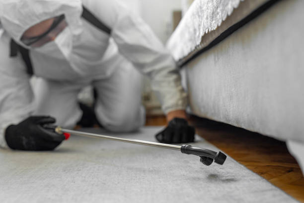 Professional Bed Bug Control technician working in Byers, CO